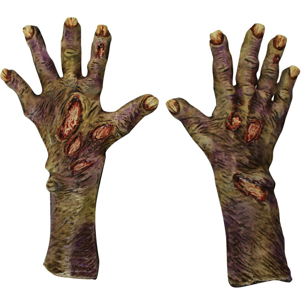 ゾンビ・ハンド グローブ ホラー ZOMBIE ROTTED LARGE GLOV