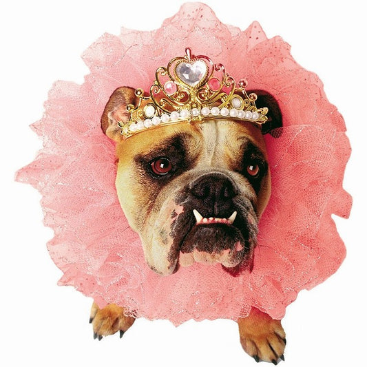 クイーン 衣装、コスチューム ブルドッグ用 ゼルダ・ウィズダム社製 コスプレ