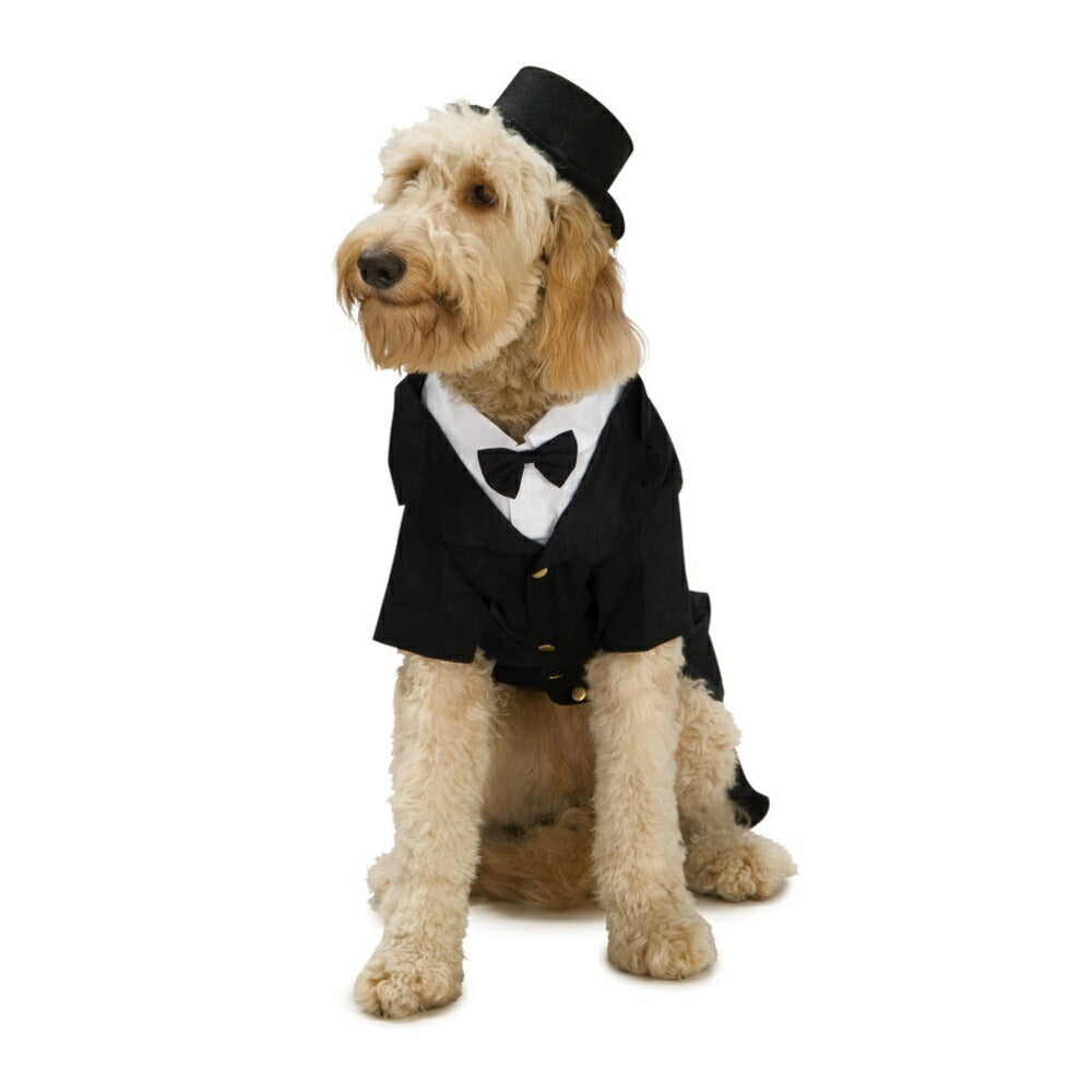 紳士　スーツ　犬用コスチューム　黒　ジャケット　Dapper　コスプレ